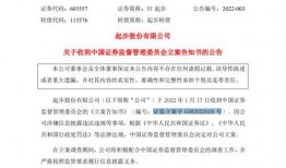 起诉证监会新闻爆料怎么写,揭开监管层内部调查之谜